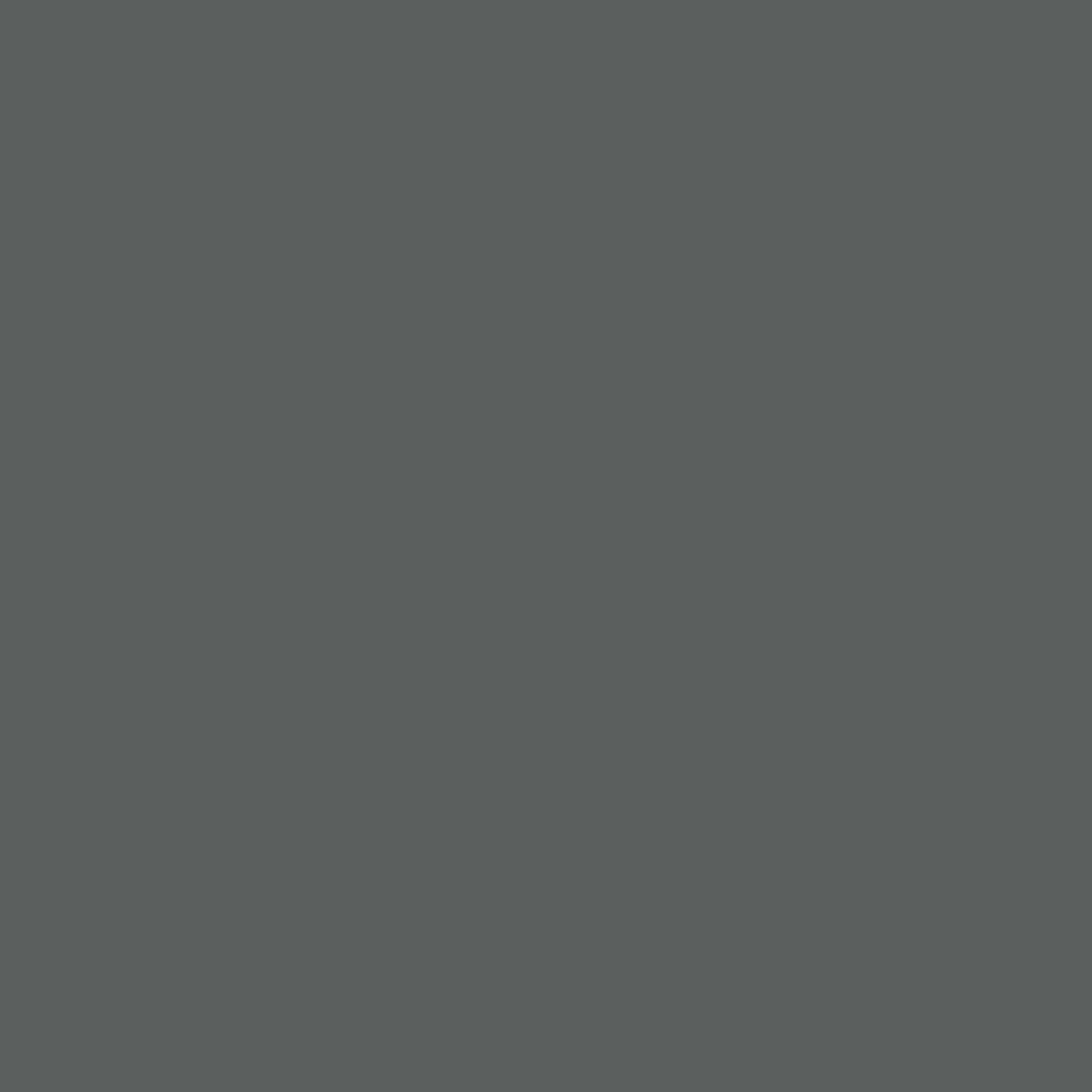 Covercraft DDS322CH - Door Protector, Charcoal, Endura