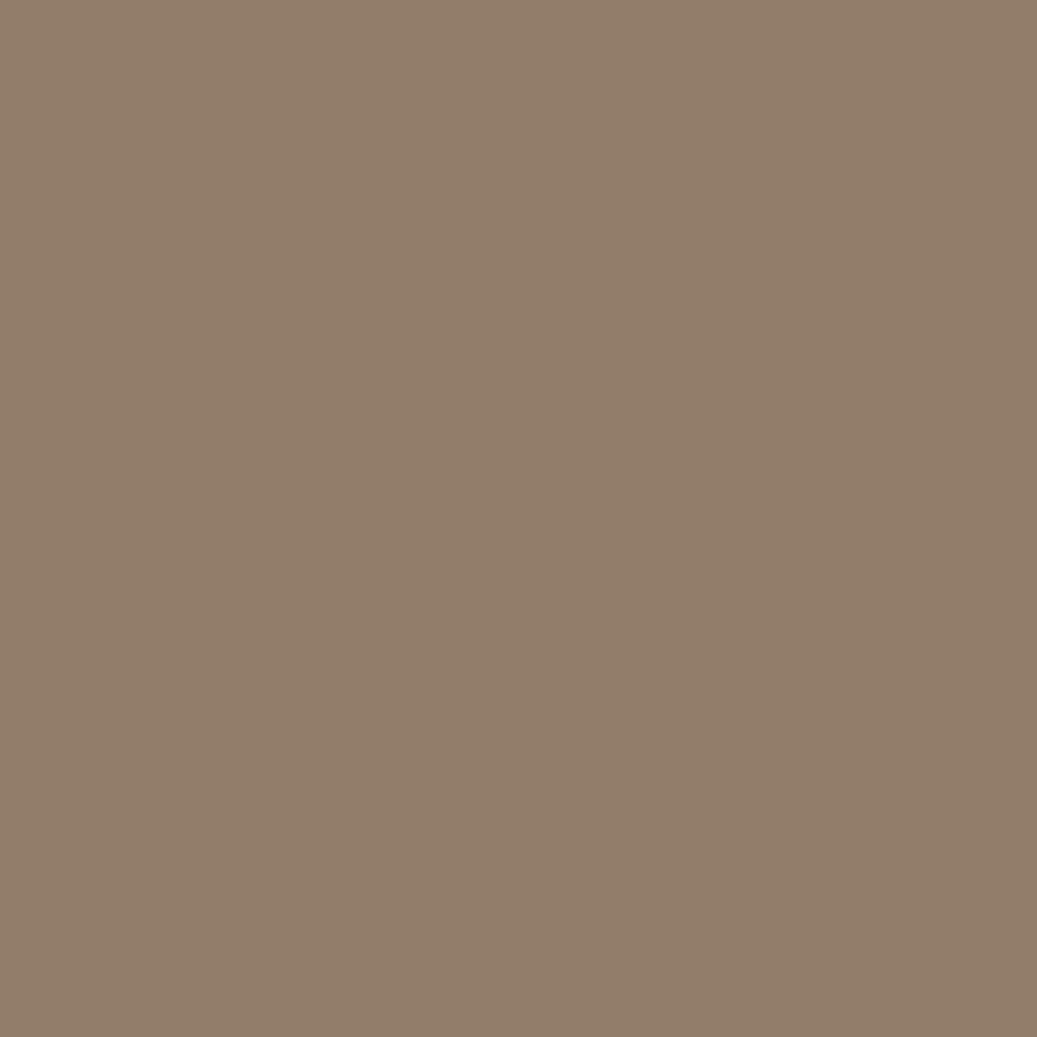 Covercraft DDS326TN - Door Protector, Tan, Endura