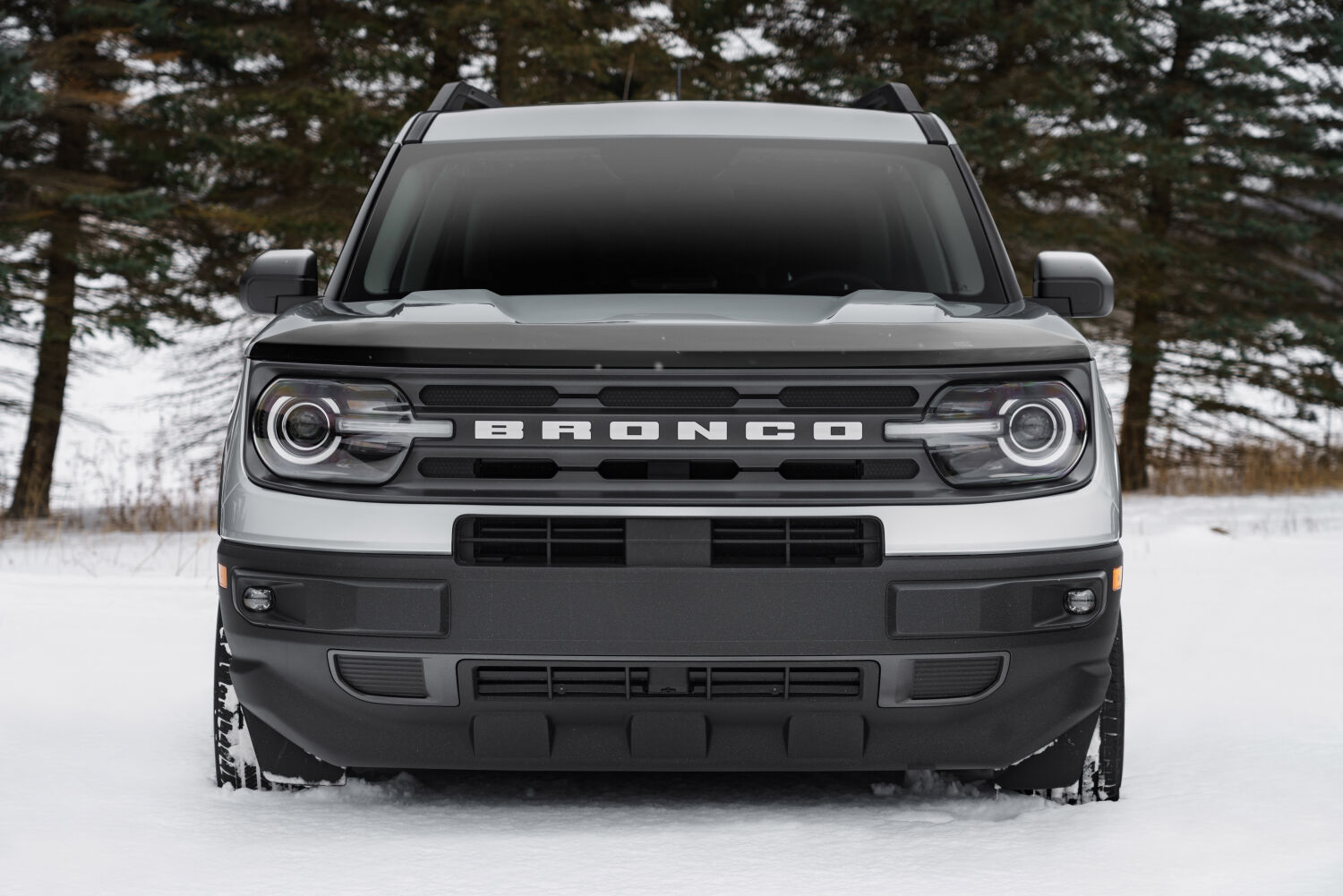 Aeroskin Hood Protector; Smoke 2021-2026 Ford Bronco