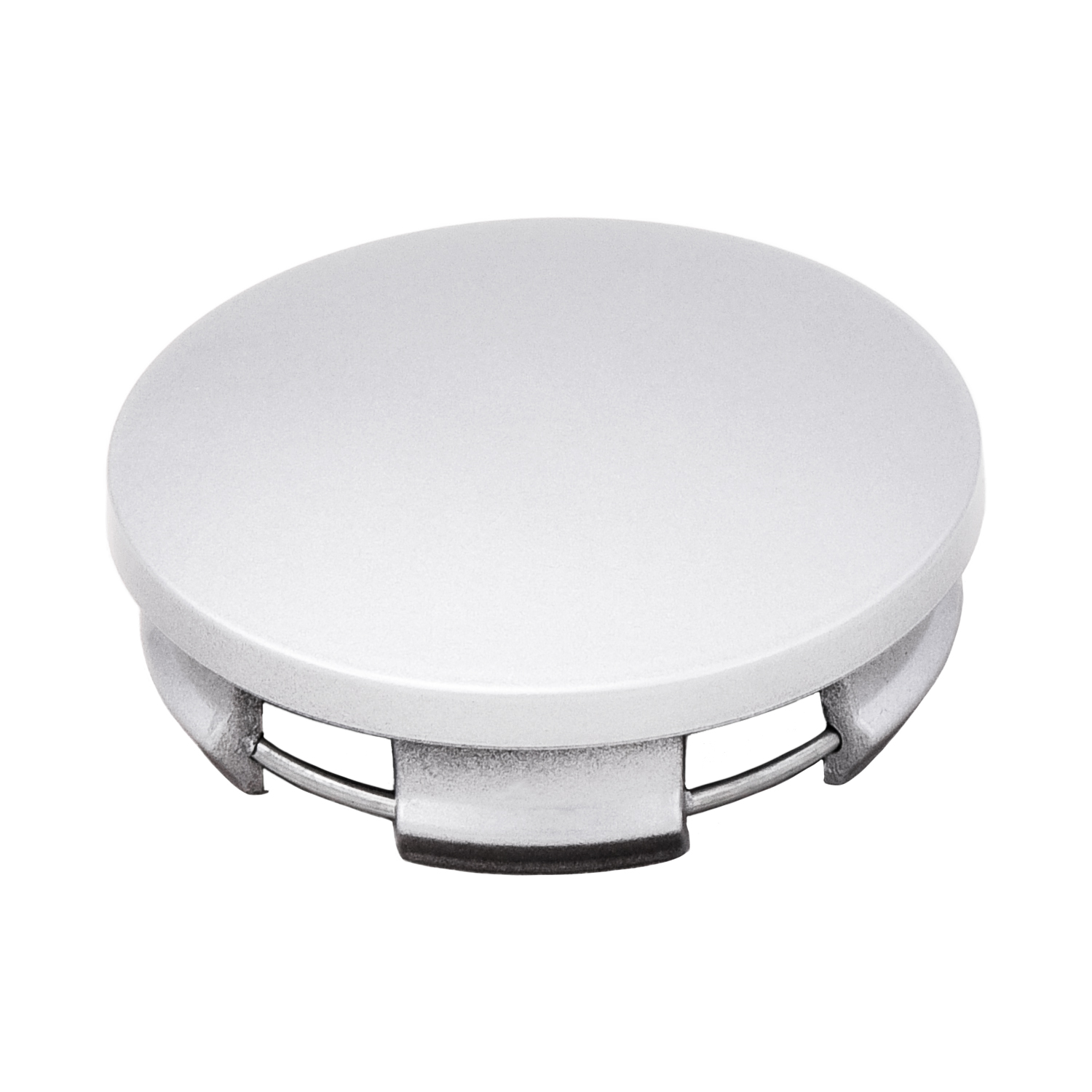 Coast To Coast IWCC9107S - Wheel Center Caps, Silver, Painted