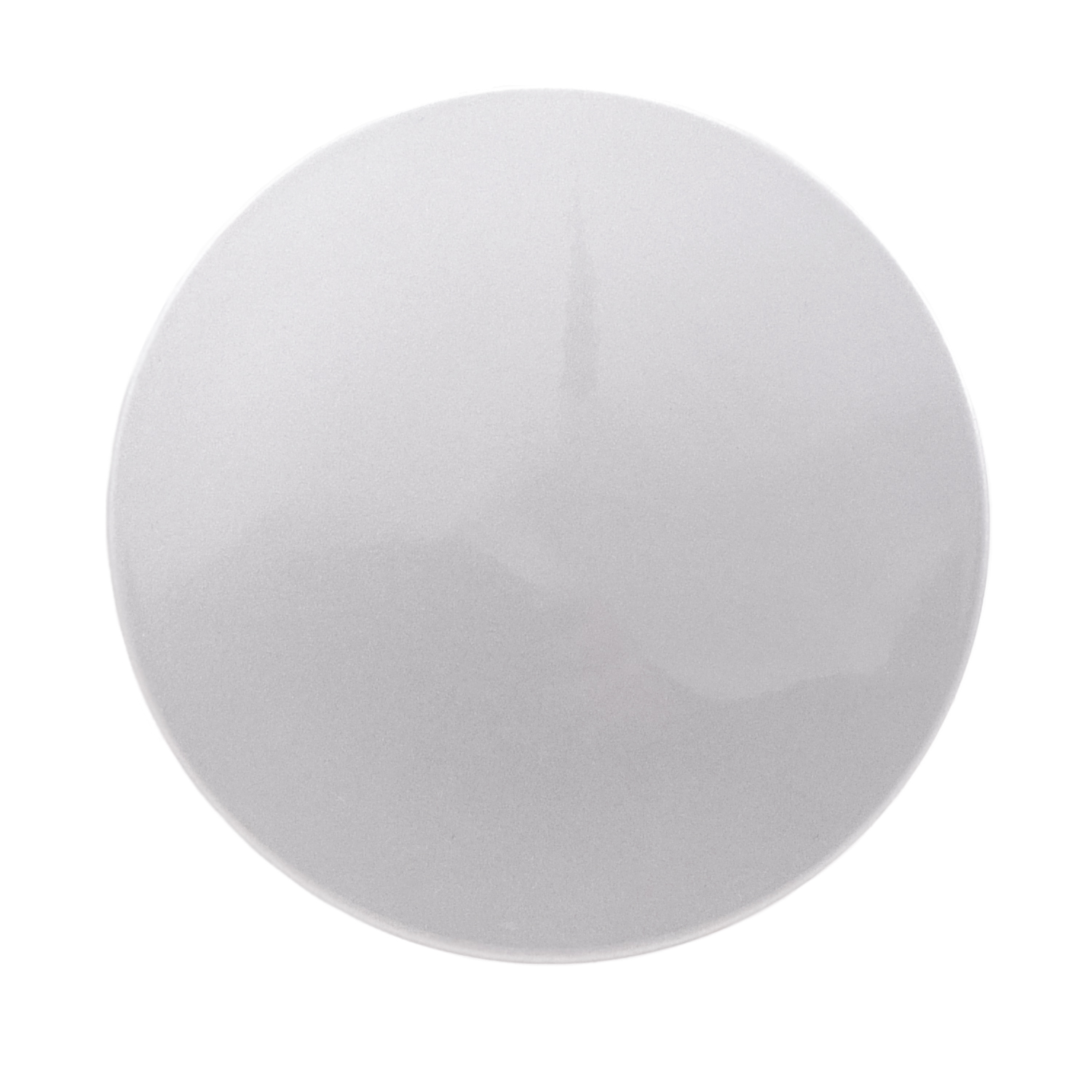 Coast To Coast IWCC9107S - Wheel Center Caps, Silver, Painted