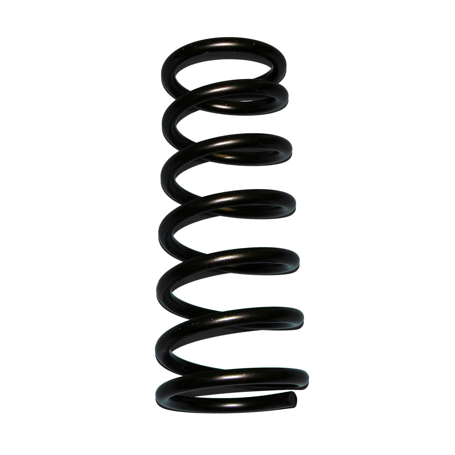 Skyjacker D20 - Coil Springs, Black