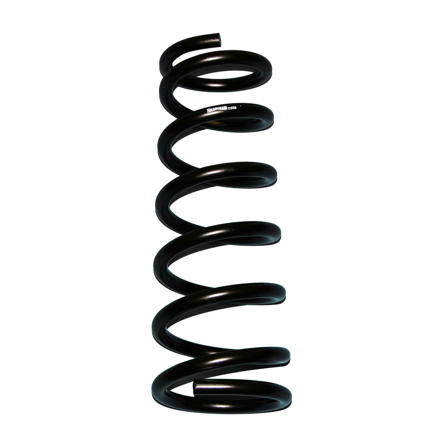 Skyjacker D25 - Coil Springs, Black